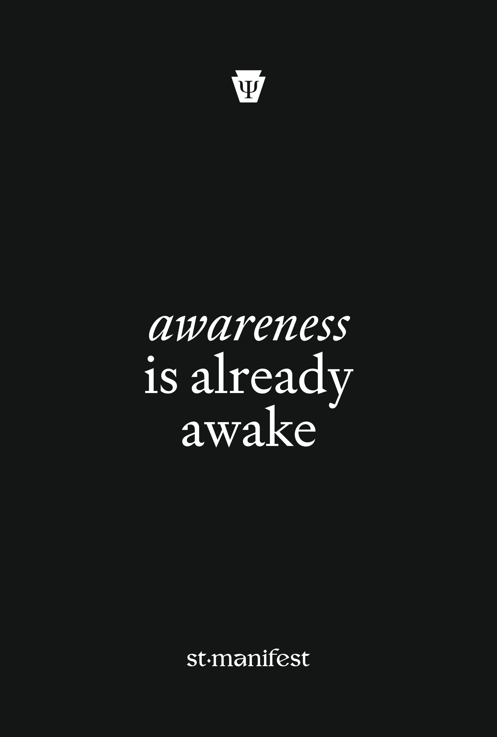 Awareness is Already Awake — Elastic Notebook