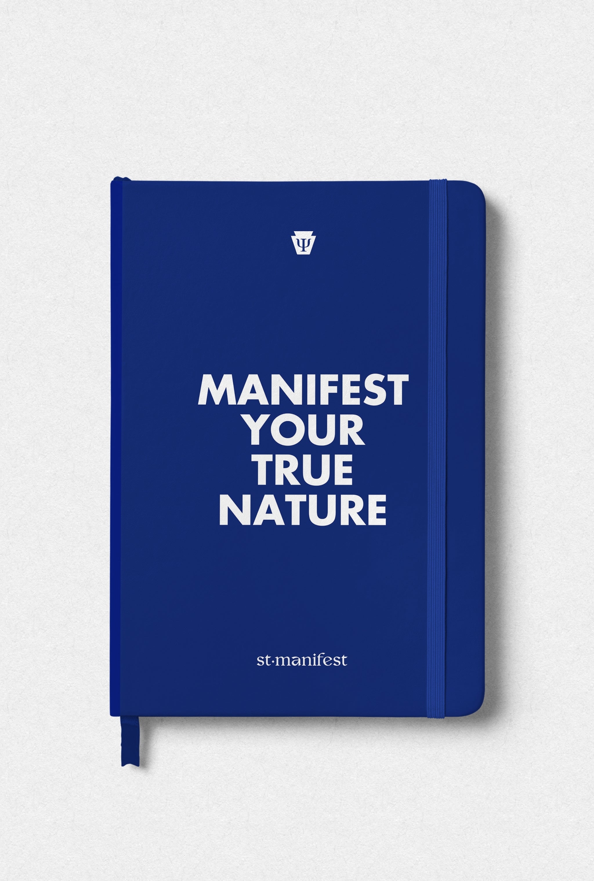Manifest Your True Nature — Elastic Notebook
