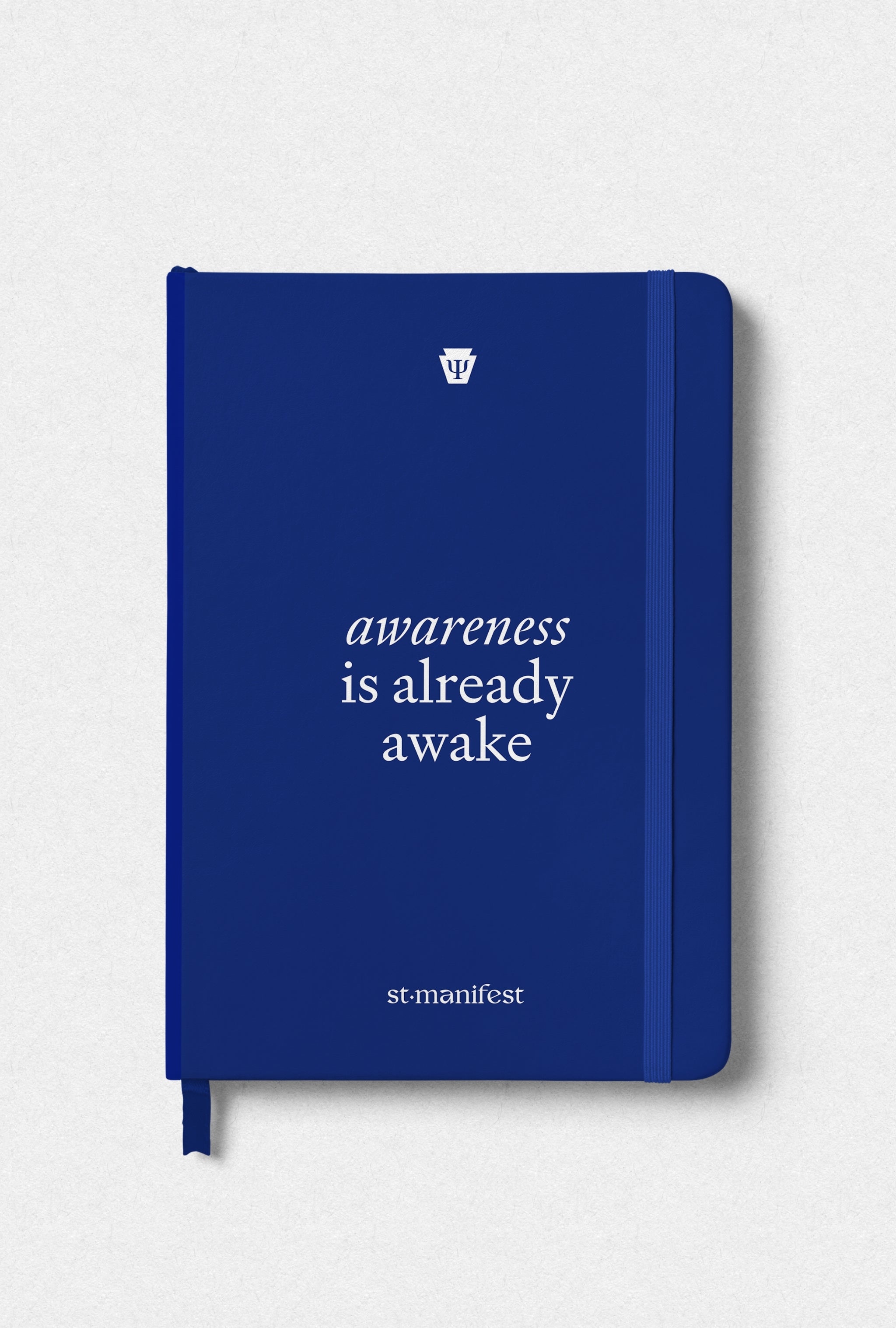 Awareness is Already Awake — Elastic Notebook
