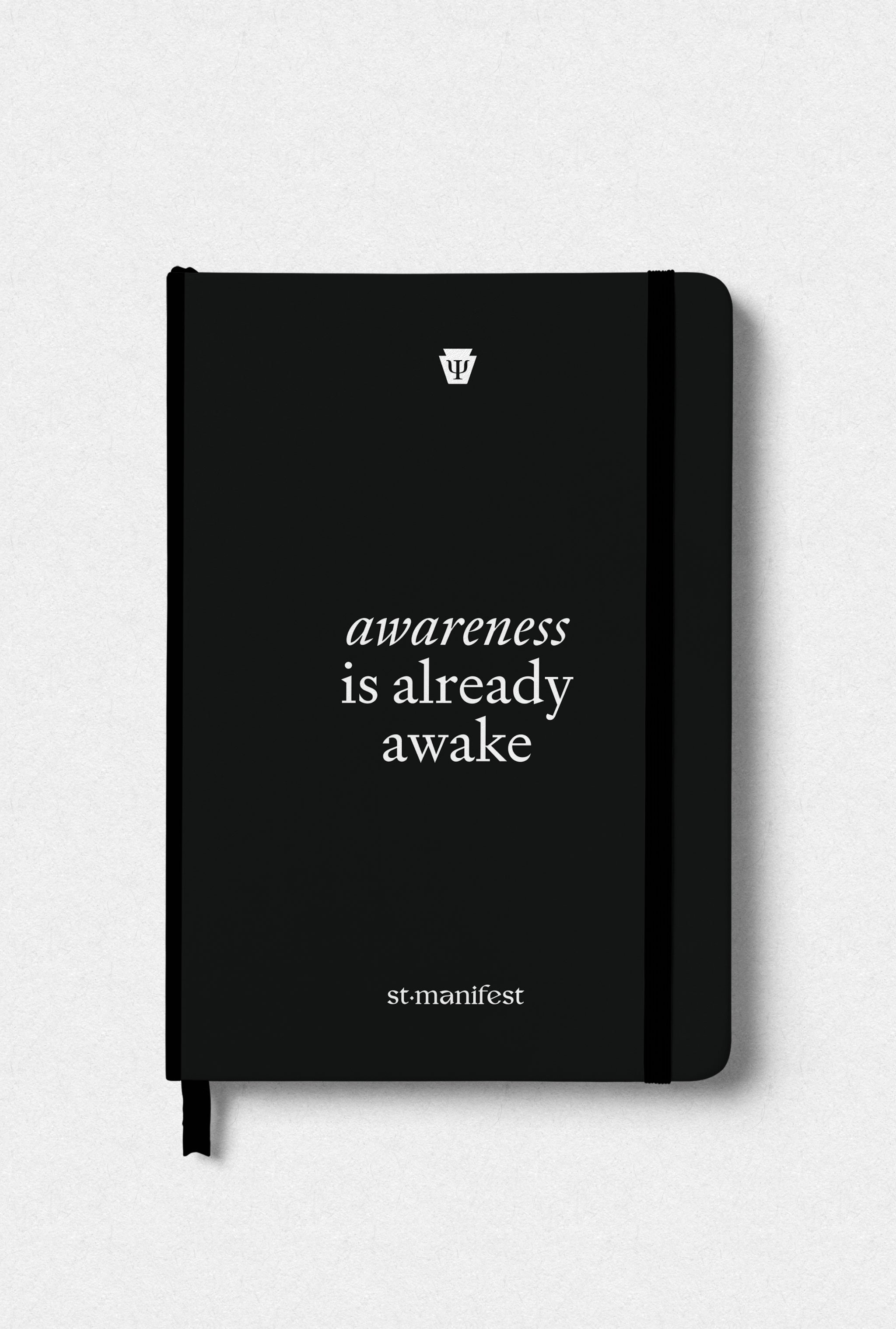 Awareness is Already Awake — Elastic Notebook