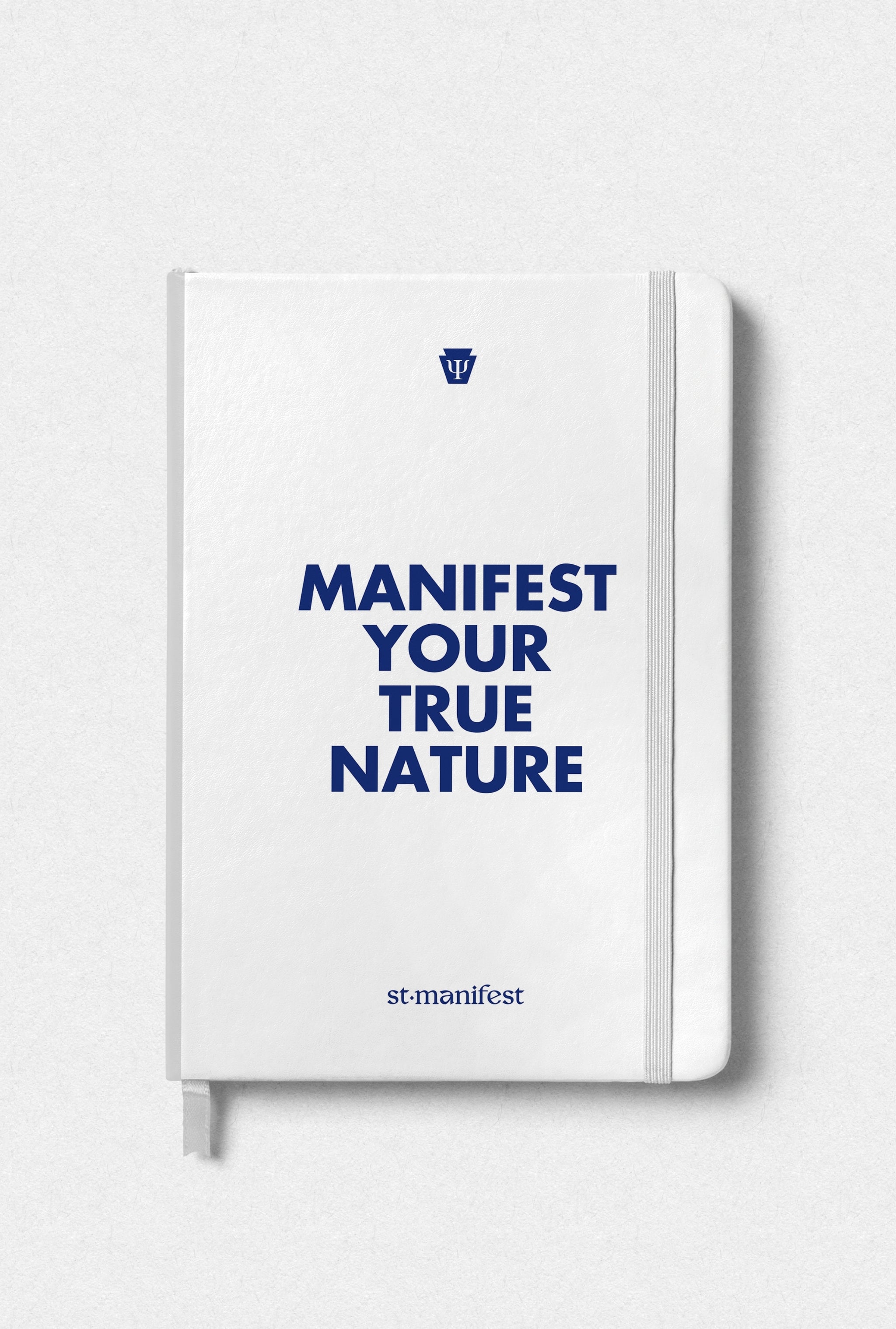 Manifest Your True Nature — Elastic Notebook