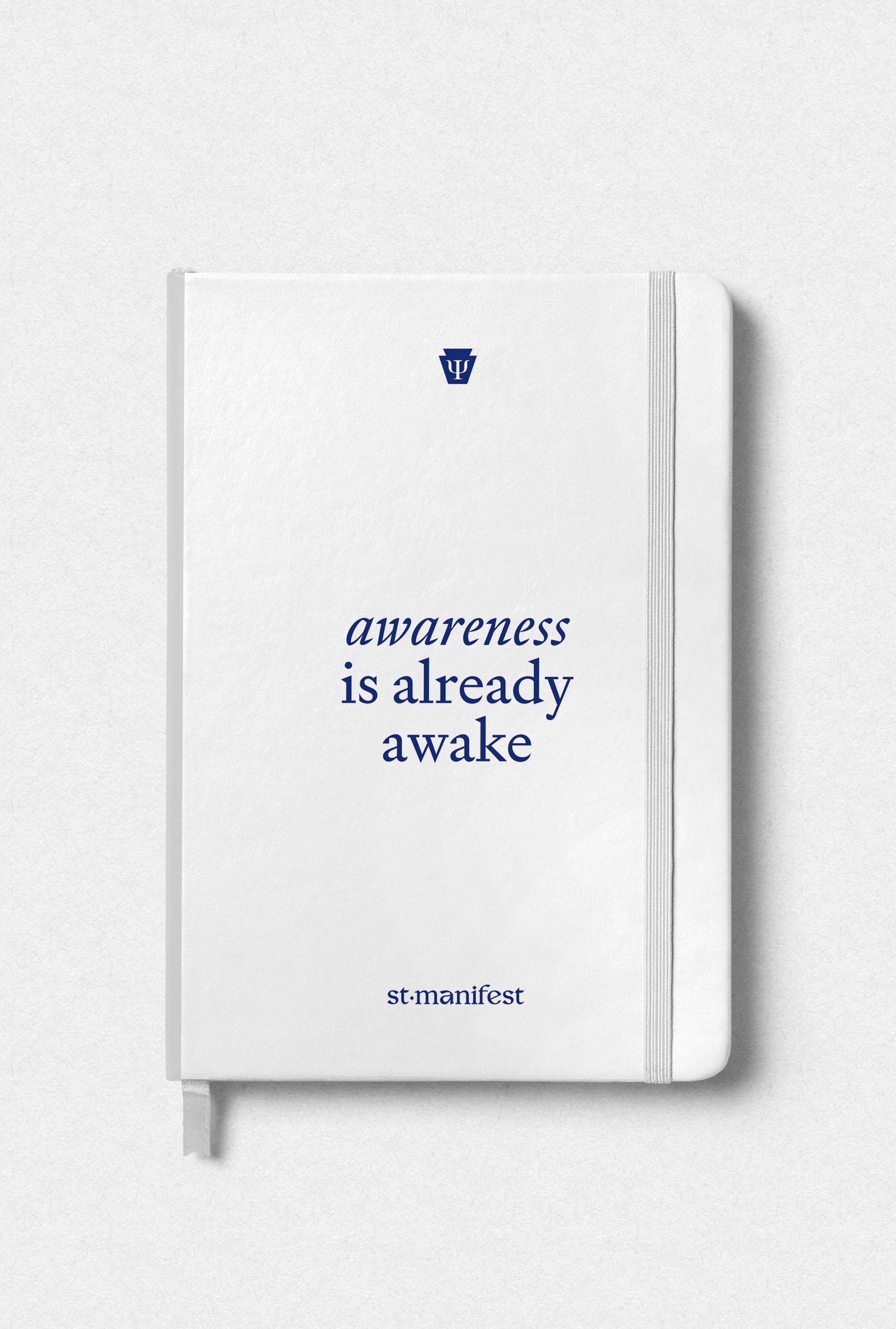 Awareness is Already Awake — Elastic Notebook